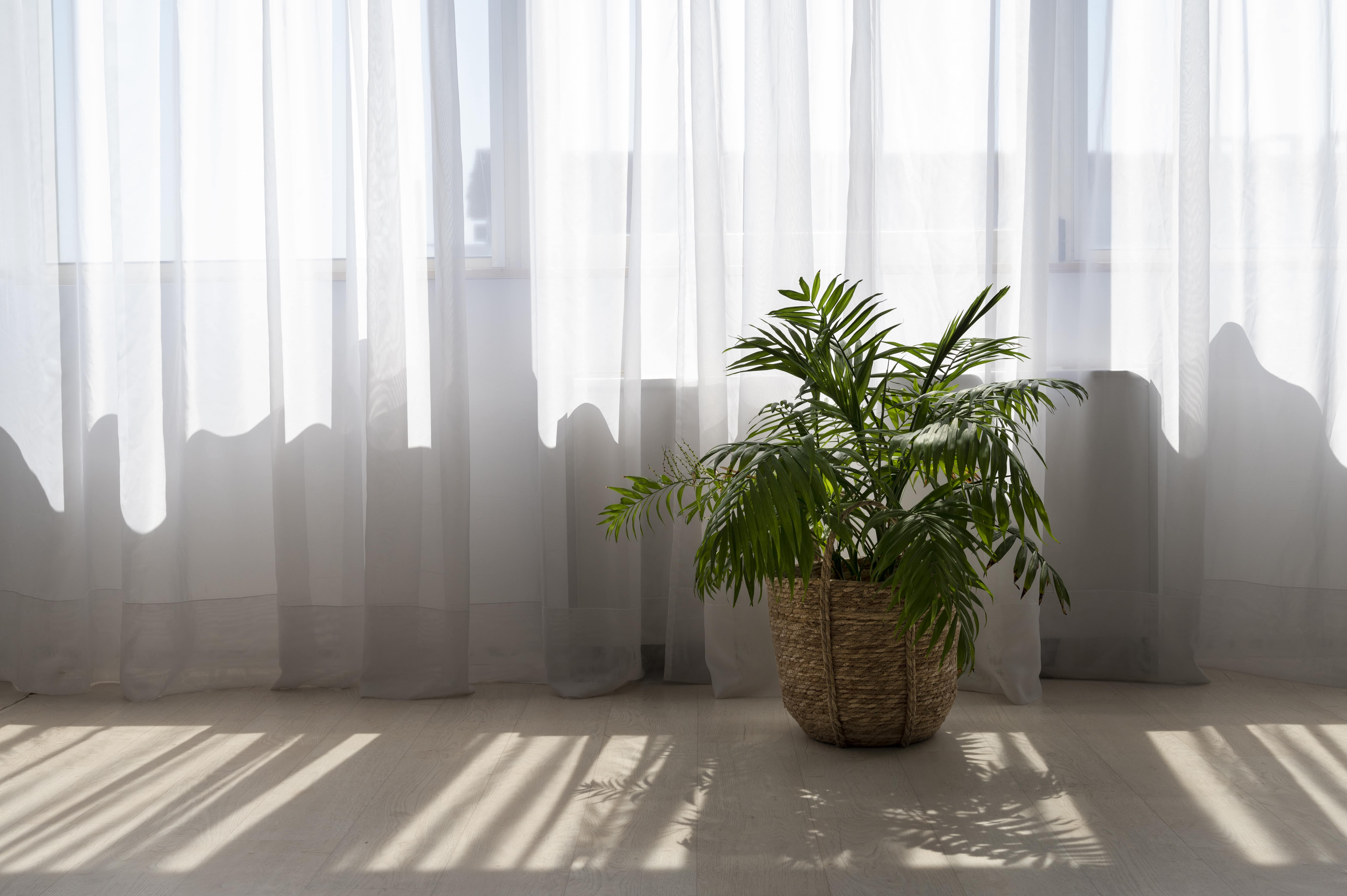 The-Ultimate-Guide-to-Designer-Window-Treatments-Vishvesh