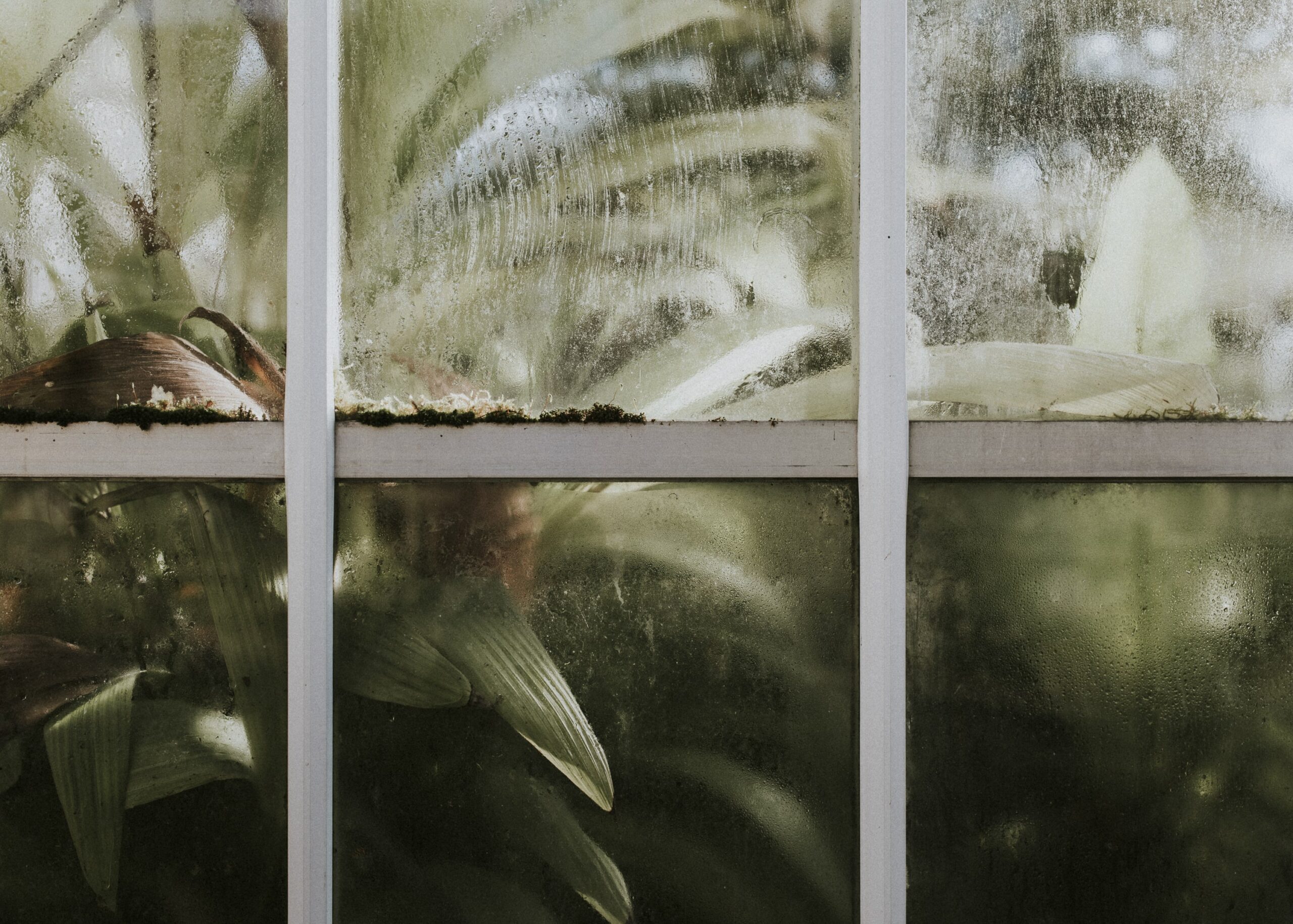 The-Gracious-Guardian-Monsoon-Blinds-and-their-Impeccable-Role-in-Defending-Your-Abode