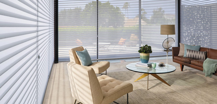 Hunter Douglas blinds in Chennai