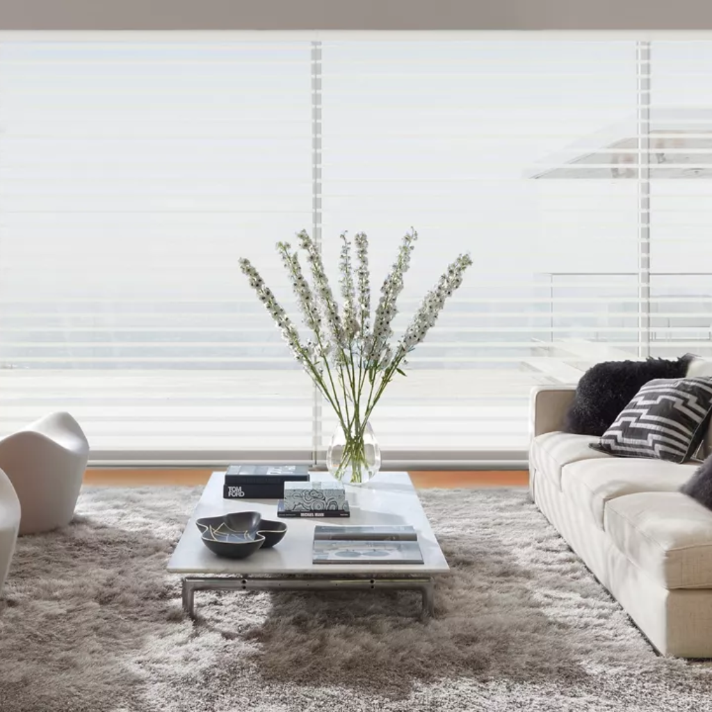 Hunter Douglas blinds in Chennai