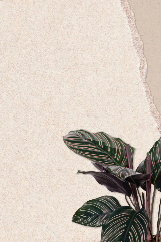 modern wallpaper
