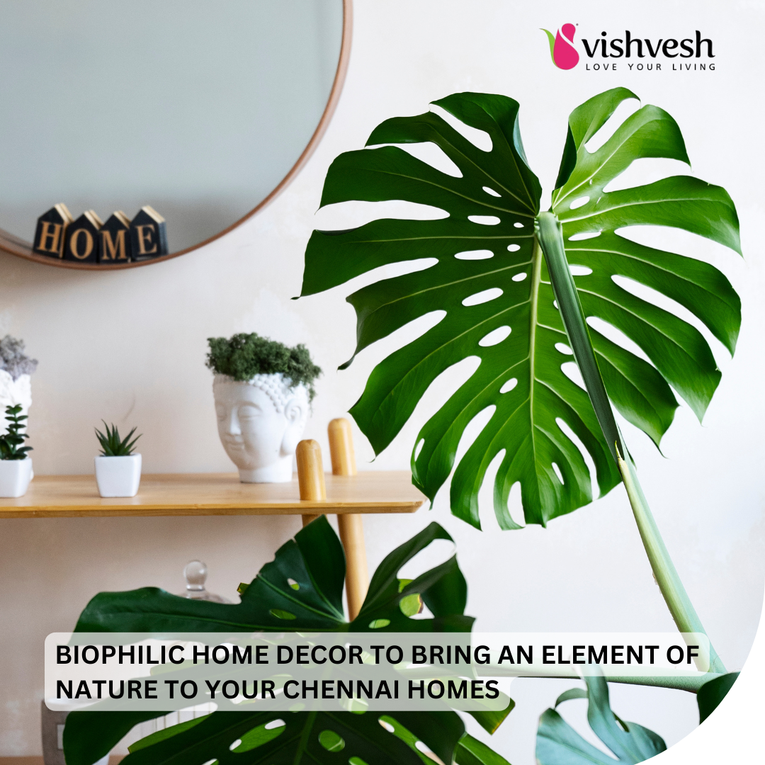 Biophilic Home Decor To Bring An Element of Nature to Your Chennai Homes